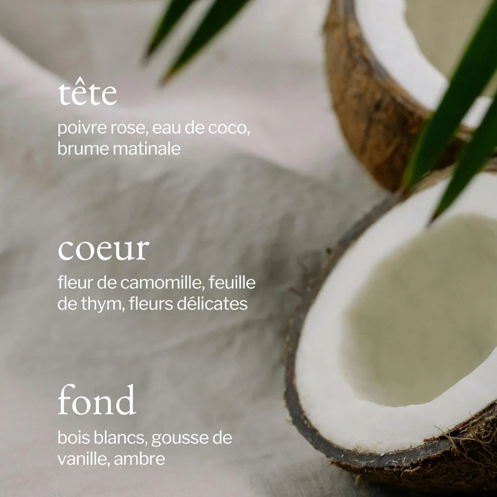 Diffuseur à roseaux | Thym + coco