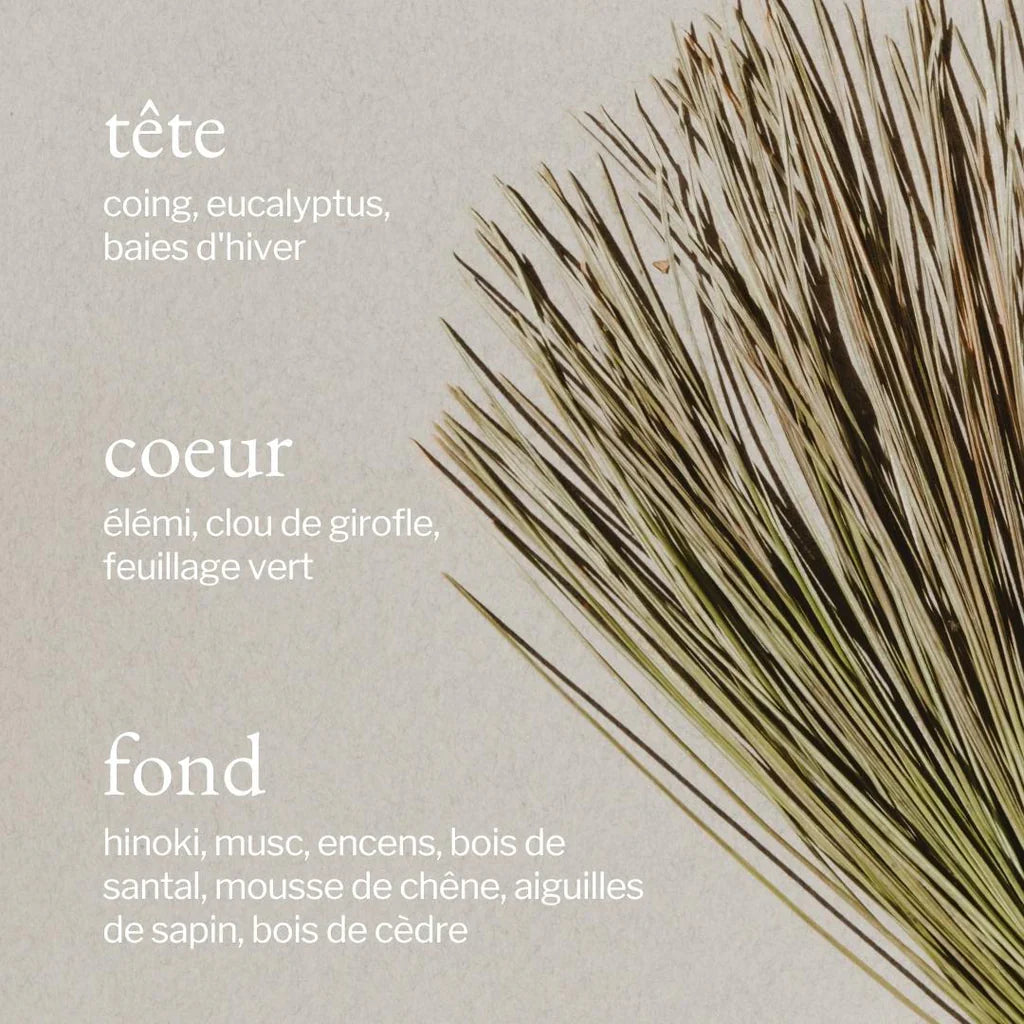 Diffuseur portatif | Écorce de pin + cèdre