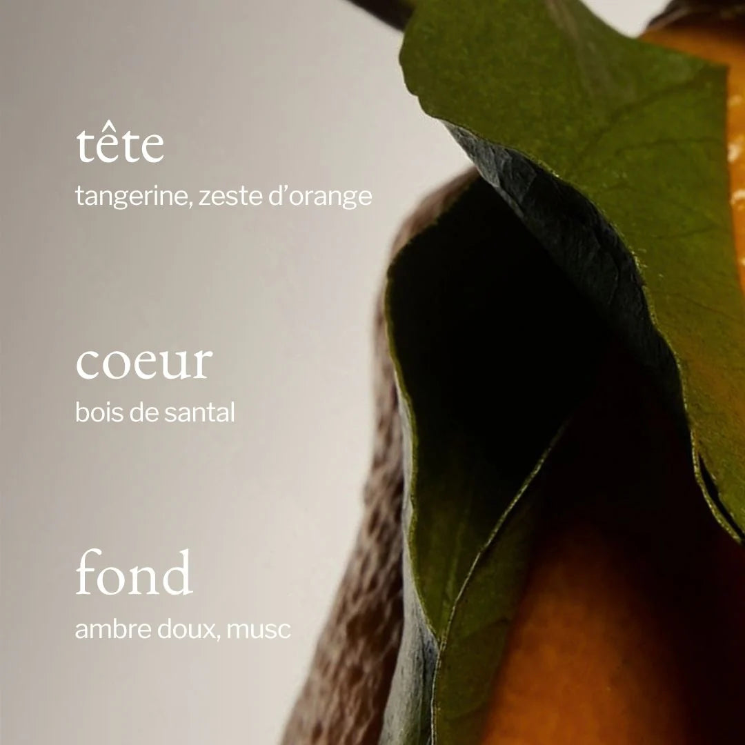 Diffuseur à roseaux | Tangerine, Santal & Ambre