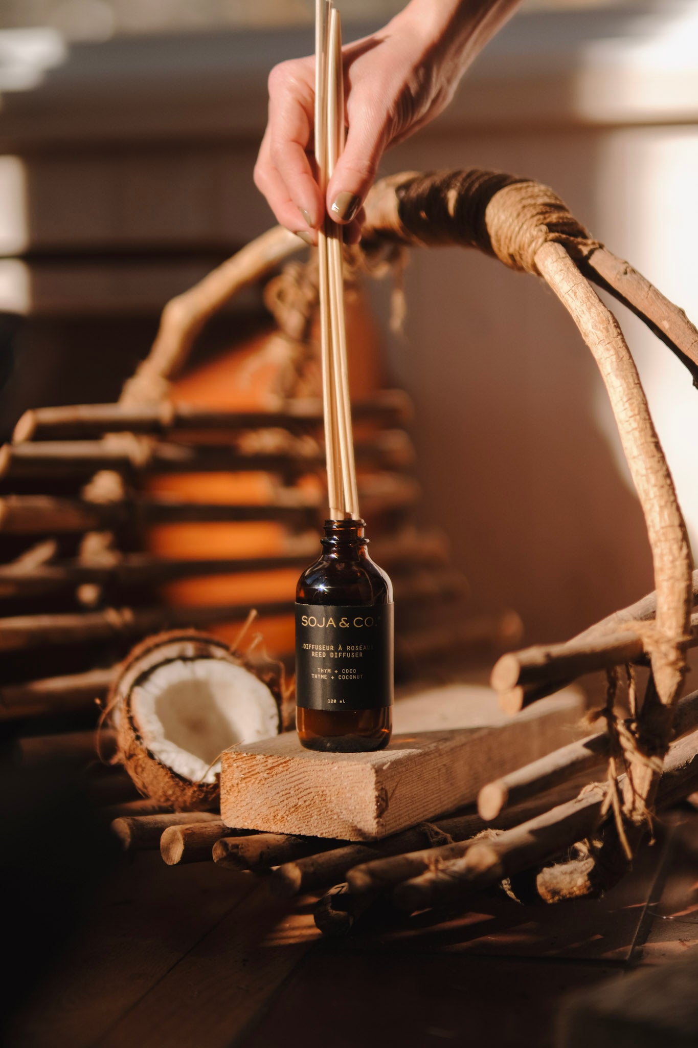 Diffuseur à roseaux | Thym + coco