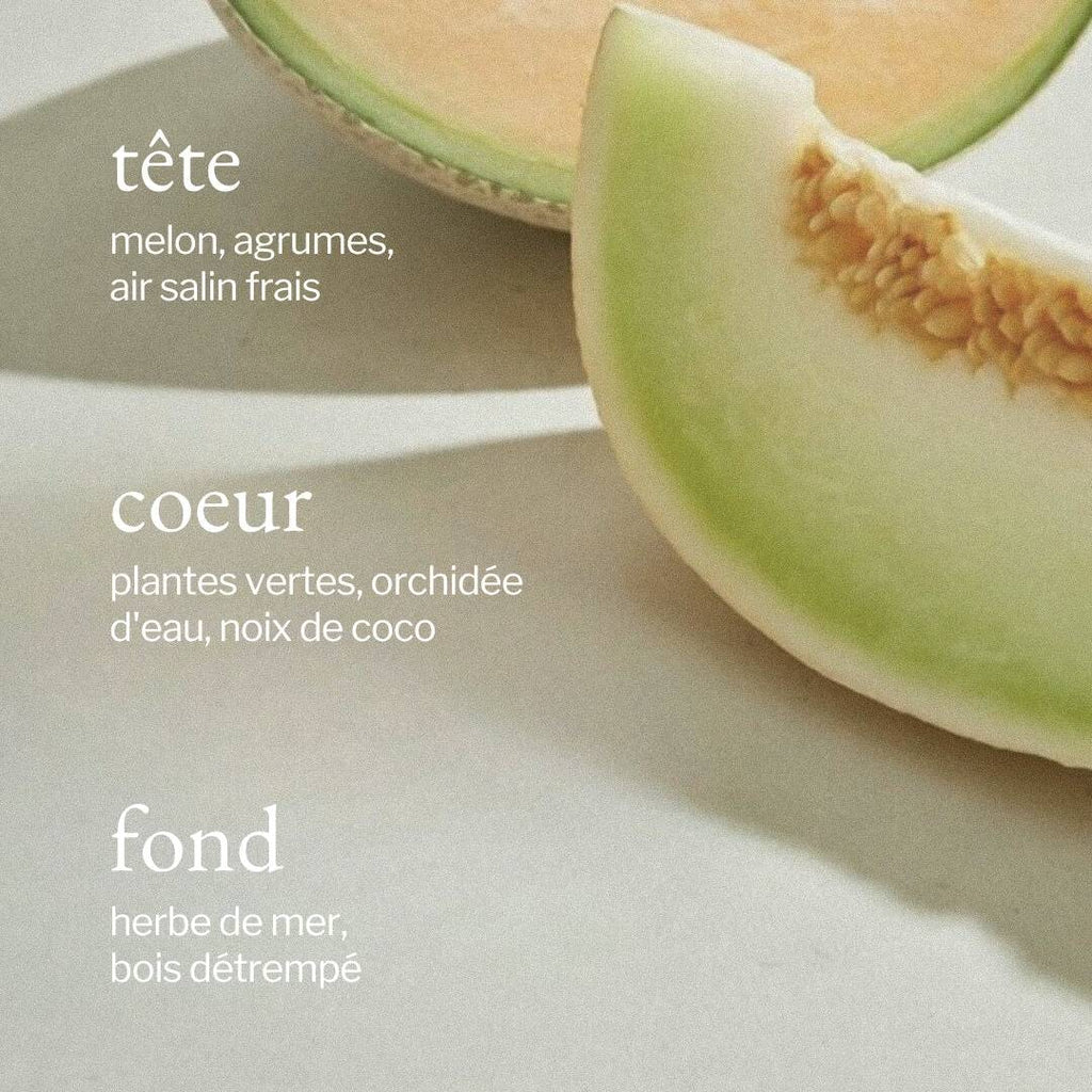 Savon à vaisselle | Melon + air salin