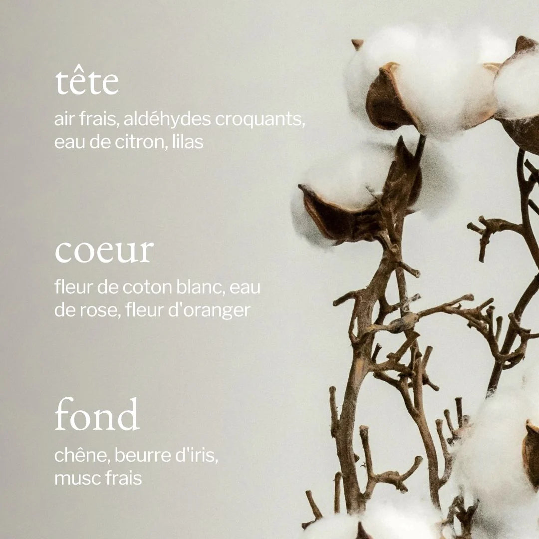 Eau de linge | Coton blanc + Linge frais