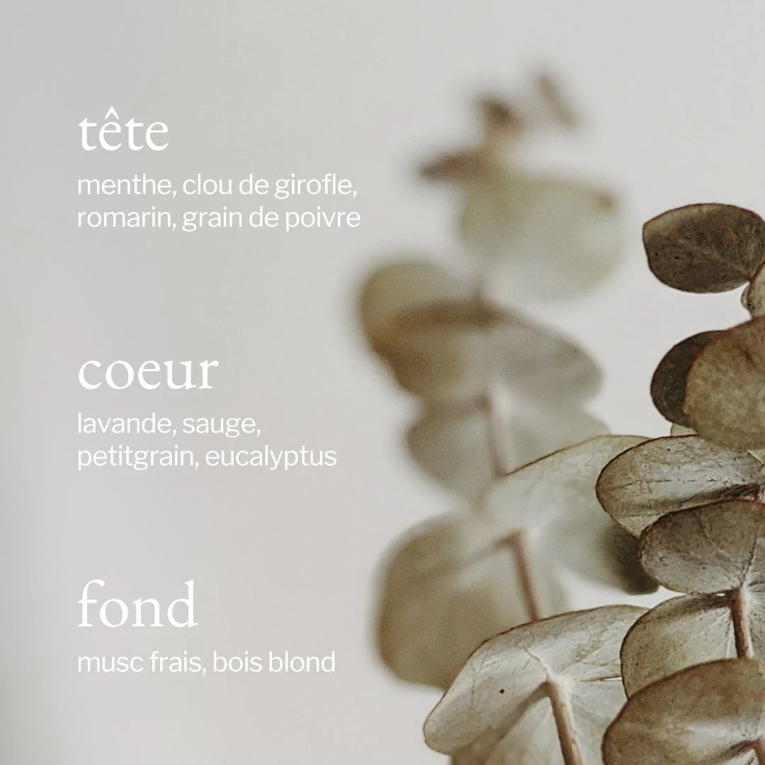 Bain moussant | Eucalyptus