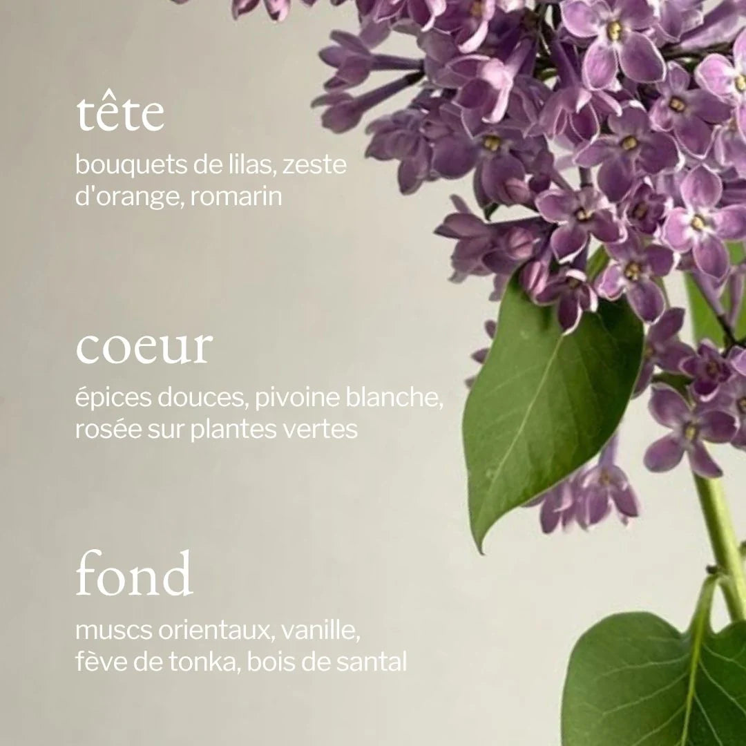 Bruine d'ambiance 100 ml | Lilas + Romarin