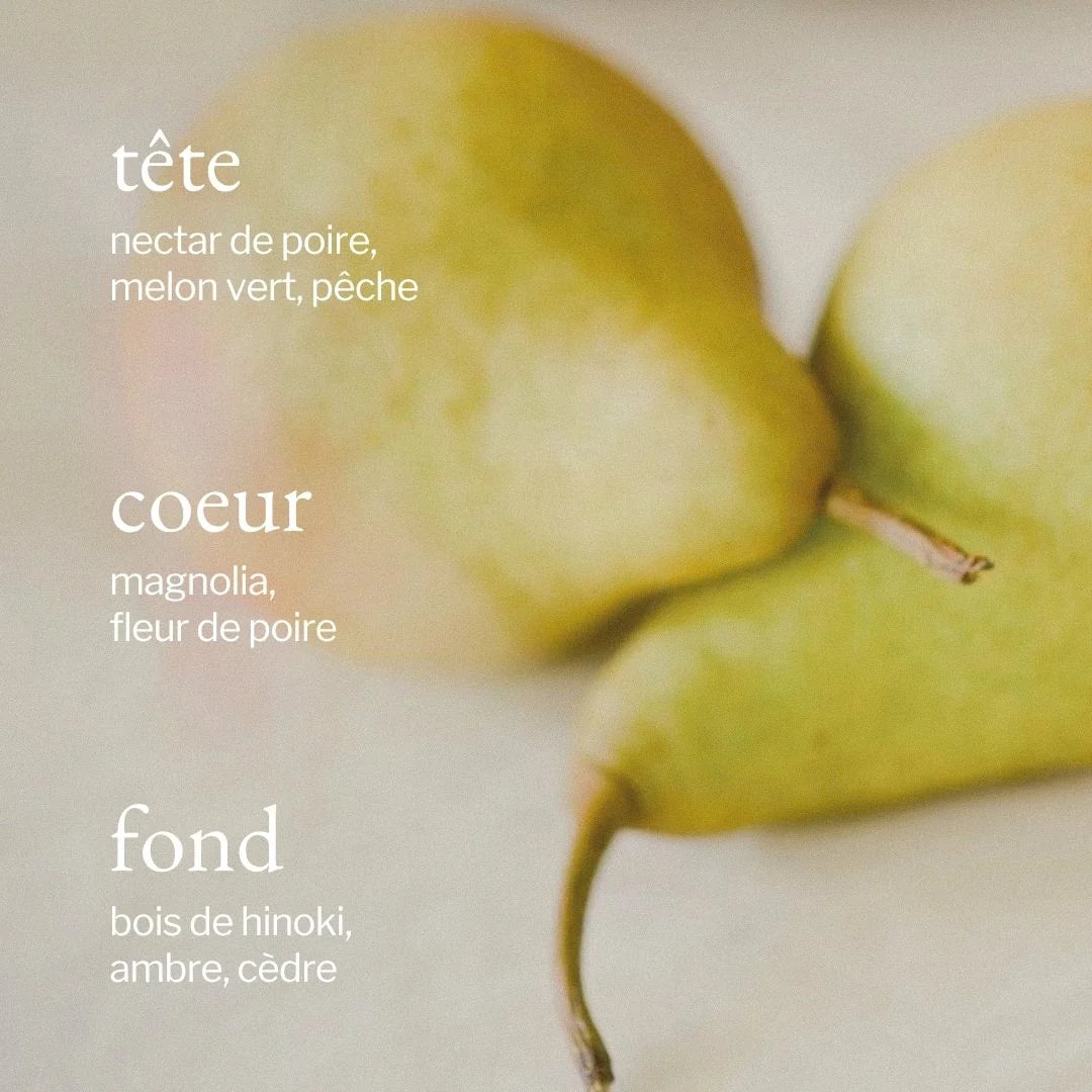 Savon à vaisselle | Poire & Hinoki