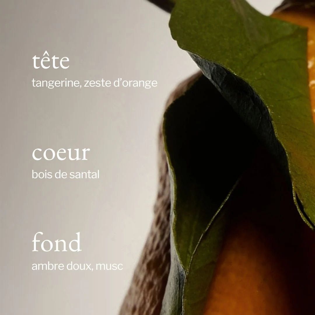 Diffuseur portatif - Tangerine, Santal & Ambre