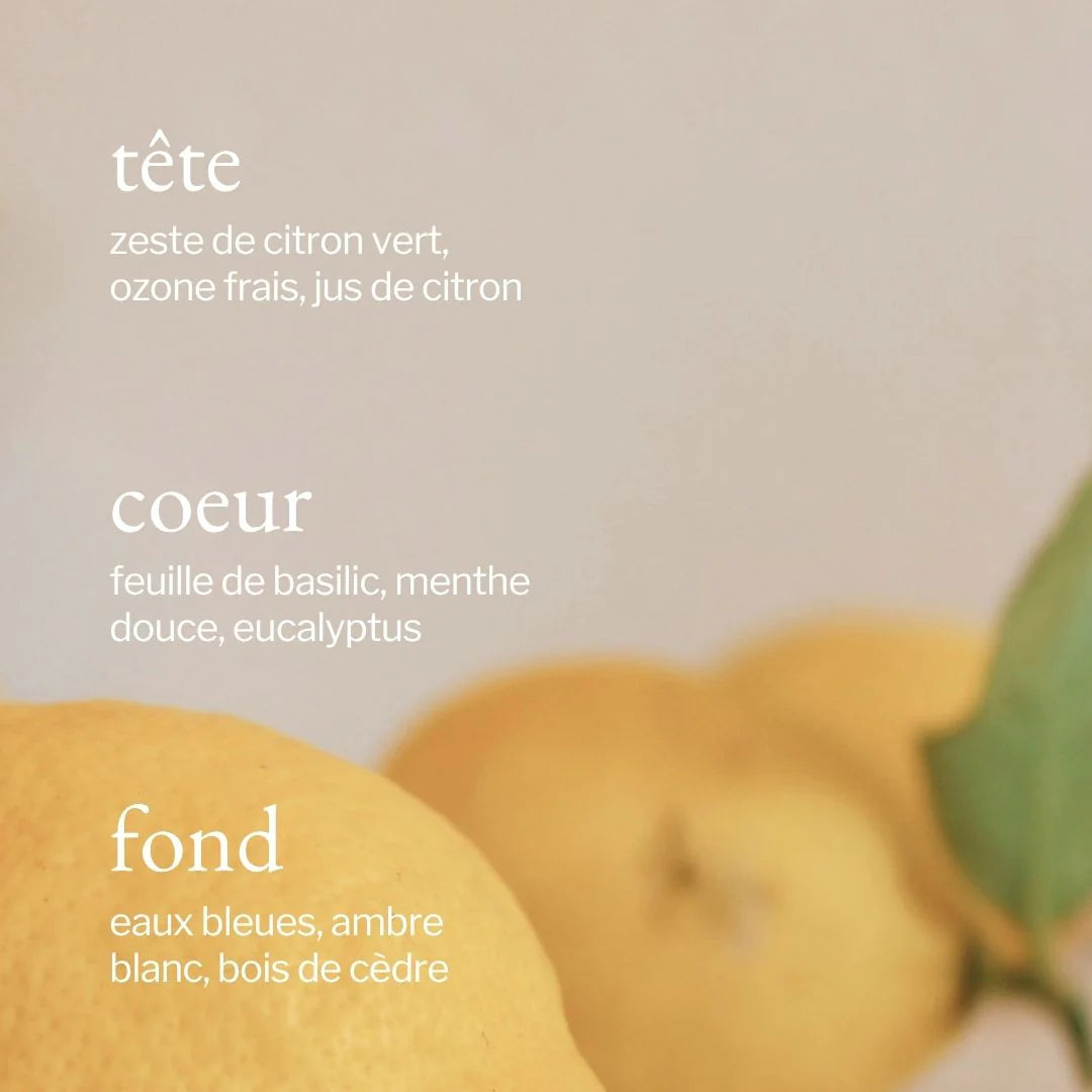 Nettoyant tout usage | Citron, Sauge & Romarin