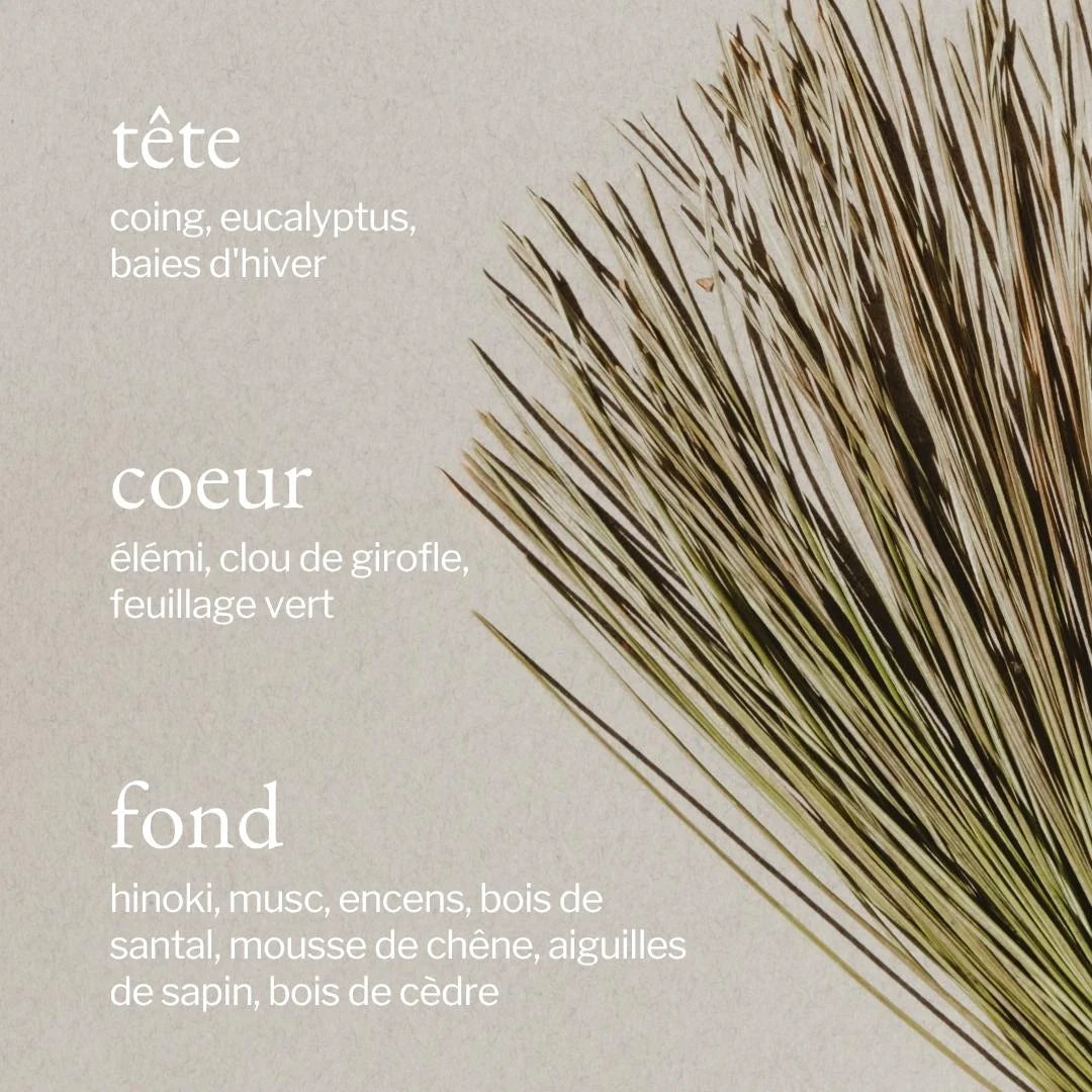 Bruine d'ambiance | Écorce de pin + Cèdre